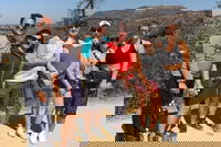 Hollywood Sign Hiking Tour to Griffith Observatory