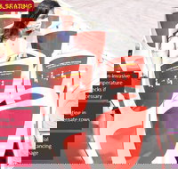 Big Bus Chicago Hop-On Hop-Off Tour - Accommodation Los Angeles