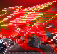 JFK Food and Culture Tour in Dallas - Accommodation Los Angeles