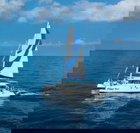 Afternoon Sail  Snorkel to the Captain Cook Monument - Accommodation Los Angeles