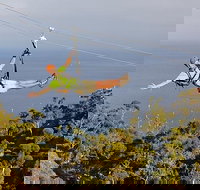 Catalina Island Aerial Adventure - Accommodation Los Angeles