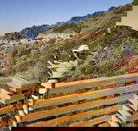 Catalina Island Zip Line Eco Tour - Accommodation Los Angeles