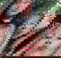 Participate in a Fun Scavenger Hunt in Little Rock by Zombie Scavengers - Accommodation Los Angeles