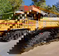 2.5-Hour Safari Island Adventure Tour on Catalina Island - Accommodation Los Angeles