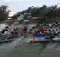 Clear Kayak Tour of Crystal River - Accommodation Los Angeles