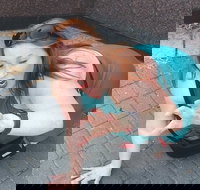 Fun City Scavenger Hunt in Hartford by Zombie Scavengers - Accommodation Los Angeles