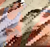 Explore Hartford with a Unique Scavenger Hunt by Crazy Dash - Accommodation Los Angeles