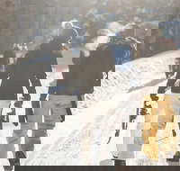 Guided Snow Shoeing - Accommodation Los Angeles