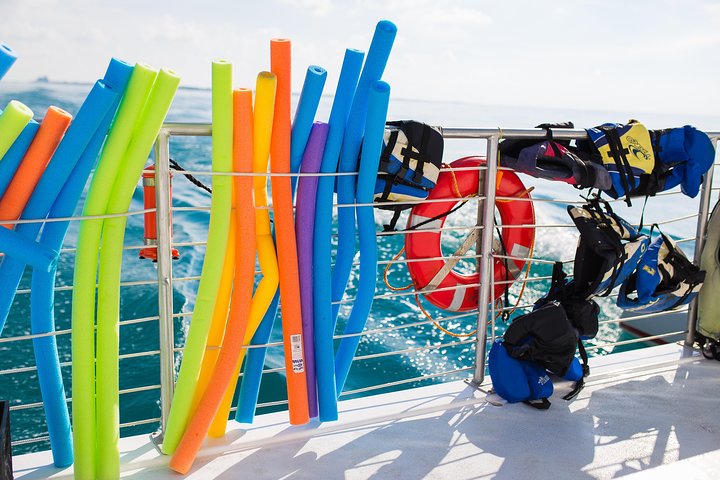 Key West Snorkeling With Breakfast And Unlimited Mimosas - thumb 3