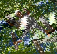 Fields of Fire Adventure Park Admission Ticket - Accommodation Los Angeles