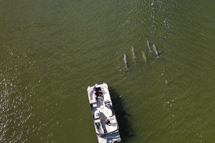 Sunset Dolphin Cruise - thumb 3