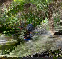 Clear Kayak Tours on Chassahowitzka River - Accommodation Los Angeles