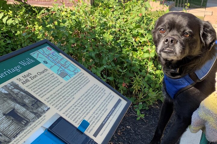 Mysteries On The Move: Scavenger Hunt In Savannah - thumb 0