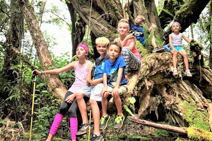 6-7 Hours Private Kauai's Hidden Gems Experience With Snacks - thumb 4