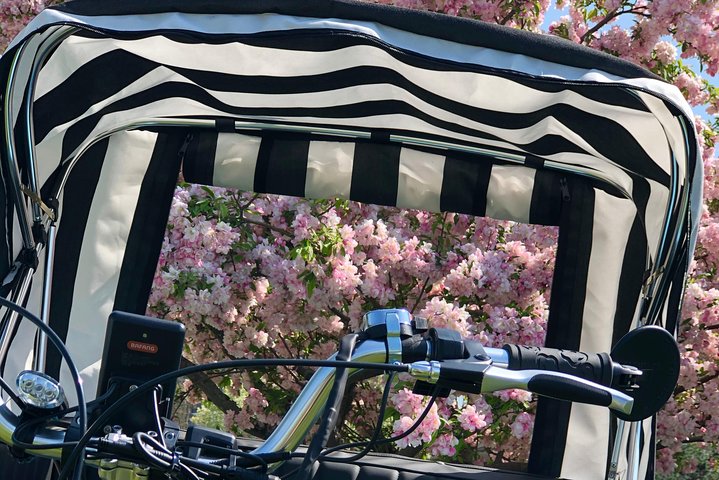 Hi-5 Rickshaw Tour Traverse City - First Thing You MUST Do In TC! - thumb 4