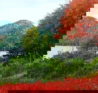 Narrated Bus Tour of Bar Harbor and Acadia National Park Classic - 2.5 Hours - Accommodation Los Angeles