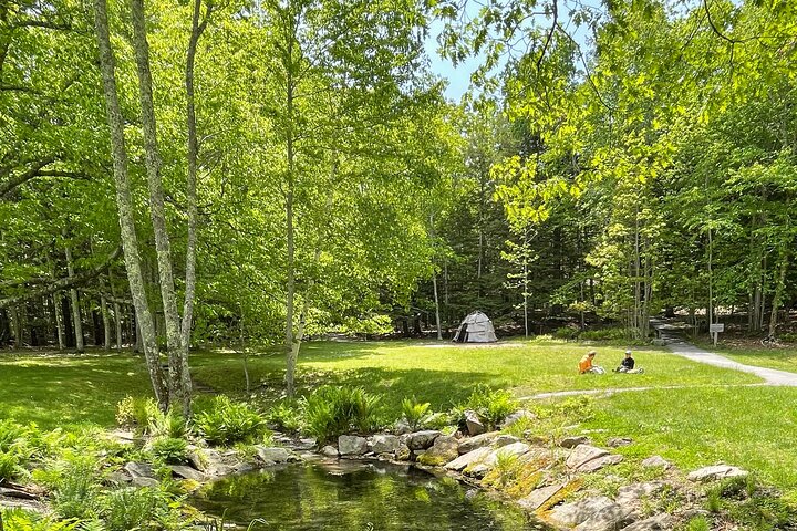 Narrated Bus Tour Of Bar Harbor And Acadia National Park (Classic - 2.5 Hours) - thumb 1