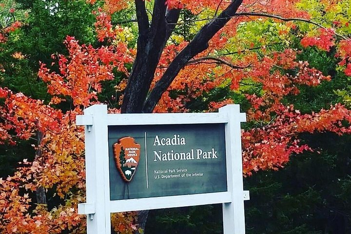 Narrated Bus Tour Of Bar Harbor And Acadia National Park (Classic - 2.5 Hours) - thumb 4