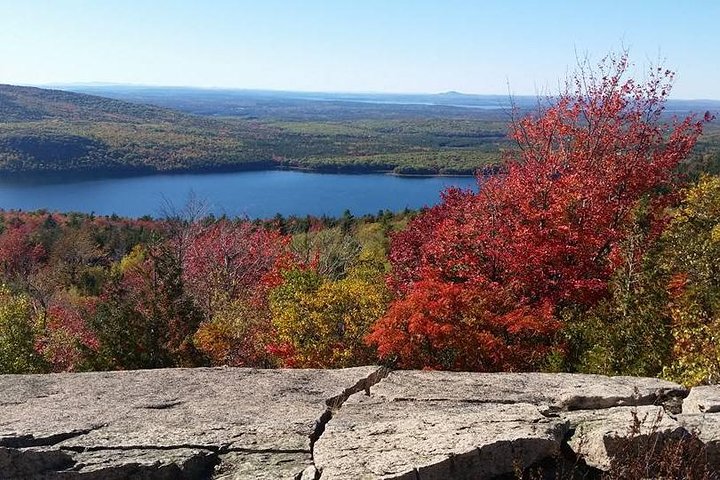 Narrated Bus Tour Of Bar Harbor And Acadia National Park (Classic - 2.5 Hours) - thumb 5