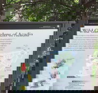 Premium Narrated Bus Tour of Bar Harbor and Acadia National Park 3.5 Hours - Accommodation Los Angeles