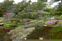 Orient Me Accommodation Los Angeles