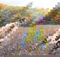 Guided Foraging - Mushroom Hunting Experiences - Accommodation Los Angeles