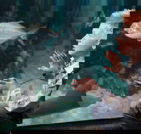 SEA LIFE Michigan Aquarium Admission Ticket - Accommodation Los Angeles