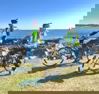 3.5hrs Coastal Tour Visit the Coastline Tucked Away Seaside Villages Mansions - Accommodation Los Angeles