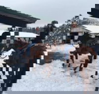 Winter Horseback Riding Adventure from Reno - Accommodation Los Angeles