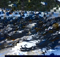 Snowmobiling Packages in the Sierra's from Reno, Nevada - Accommodation Los Angeles