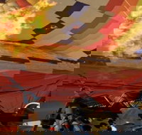 Hot Air Balloon & Snowmobile Adventure - Accommodation Los Angeles