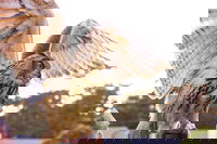  Accommodation Los Angeles