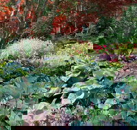 Gardens of Portsmouth Walking Tour - Accommodation Los Angeles