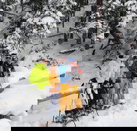 Snowshoe or XC Ski in North Yellowstone (Half Day) - Accommodation Los Angeles