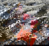 Morning Walks With High Sierra Pack Goats - Accommodation Los Angeles