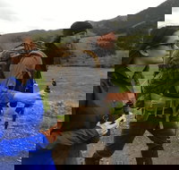 Sundowner Grizzly Excursion Tour - Accommodation Los Angeles