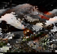 Branson Dinosaur Museum Admission Ticket - Accommodation Los Angeles