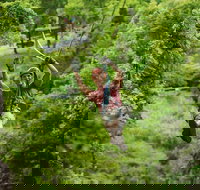 Zipline Canopy Tour in Branson - Accommodation Los Angeles