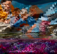 SEA LIFE New Jersey at American Dream - Accommodation Los Angeles