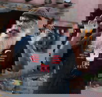 The Ghost Tour of Old Town - New Mexico's oldest Ghost Walk - Since 2001 - Accommodation Los Angeles