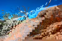 Photo Creative Workshops-Half-Day to Chimayo