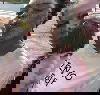 Scavenger Hunt Adventure in Pittsburgh by Crazy Dash - Accommodation Los Angeles