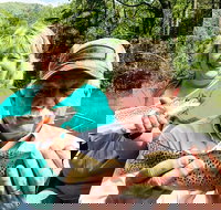 Full Day Float Trip - Accommodation Los Angeles