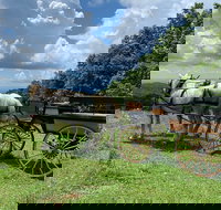 Horse and Carriage Ride through Moses H. Cone Park - Accommodation Los Angeles