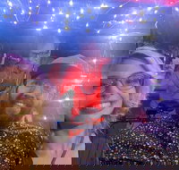 Private Pedicab Karaoke Cruising in Downtown Raleigh - Accommodation Los Angeles