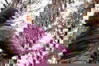 Blooming Grv Ny Accommodation Los Angeles