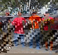 Lake Erie Walleye Fishing Charters - Accommodation Los Angeles