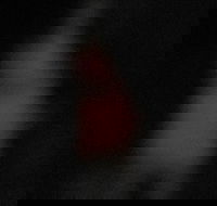 Ghost and Haunt Tour of Gatlinburg - Accommodation Los Angeles