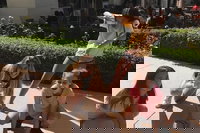 Fun City Scavenger Hunt in Chattanooga by 3Quest Challenge