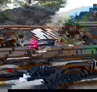 Jeep Bison Safari - Custer State Park - Accommodation Los Angeles